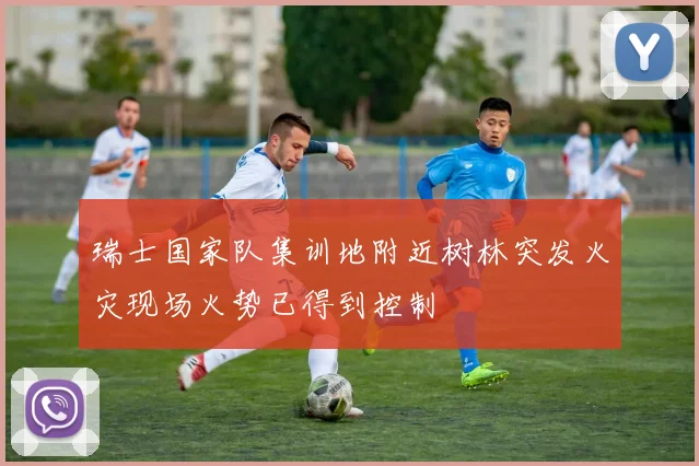 瑞士国家队集训地附近树林突发火灾现场火势已得到控制