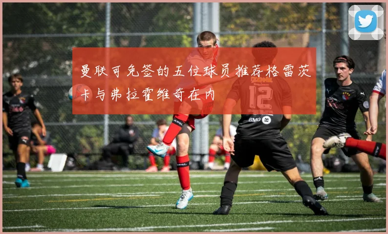 曼联可免签的五位球员推荐格雷茨卡与弗拉霍维奇在内